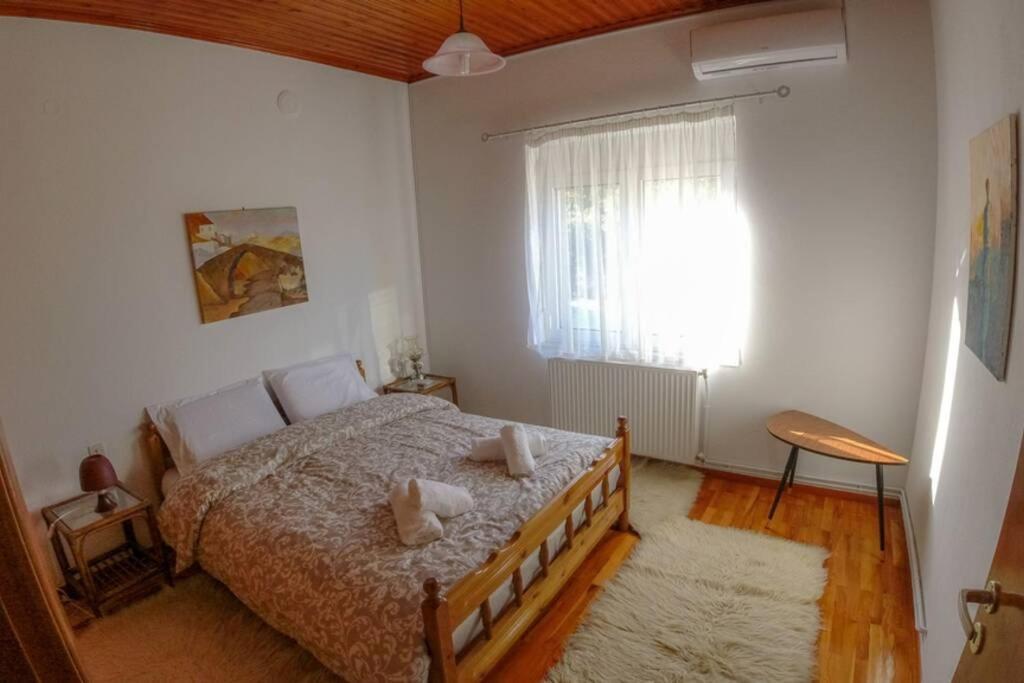 Breathtaking Lake View Cottage With A Fireplace Next To Ioannina City! Екстериор снимка